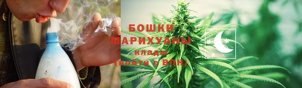 ПСИЛОЦИБИНОВЫЕ ГРИБЫ Алзамай
