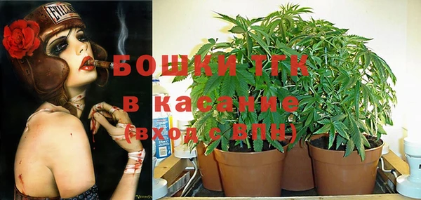 не бодяженный Алексин