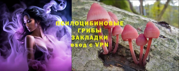 не бодяженный Алексин