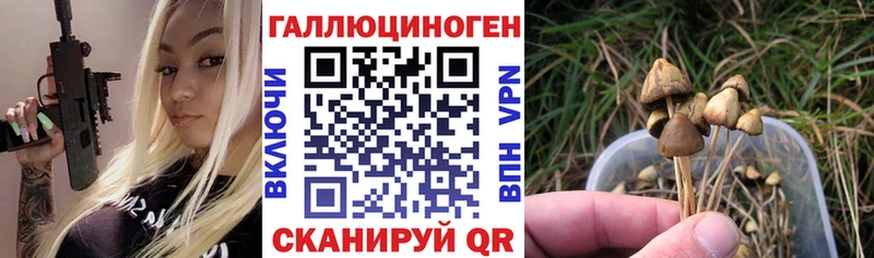 как найти закладки  Чадан  Галлюциногенные грибы ЛСД 